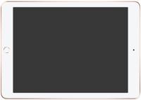 Refurbished iPad 2018 128 GB 4G Goud Gebruikt - thumbnail