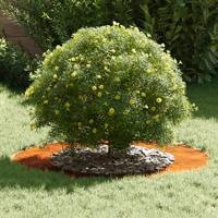 Plantenring 50/80 cm Weerbestendig Staal - thumbnail
