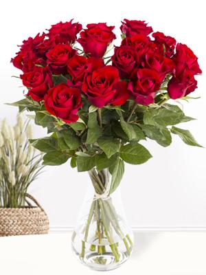 20 rode rozen - XL rozen - EverRed