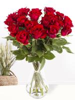 20 rode rozen - XL rozen - EverRed - thumbnail