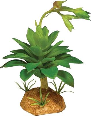 Plant succulent green Repto - Repto Plant succulent green Repto - Repto