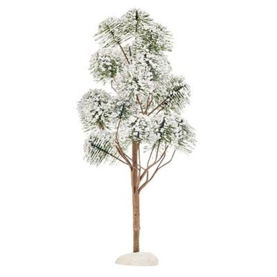 Luville General Mountain pine