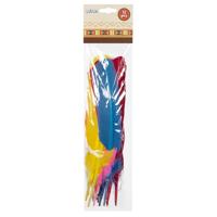 12 Gekleurde Veren Piet/Indiaan - thumbnail