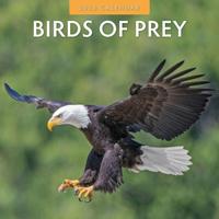 Birds Of Prey Kalender 2026 - thumbnail