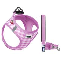 Puppy Tuig & Riem Air Mesh Roze - thumbnail
