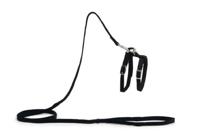 Beeztees - kattentuigje - nylon - zwart - 130 cm x 10 mm - thumbnail