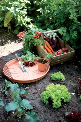 Elho Green Basics Plantenschotel Mild Terra Ø34cm