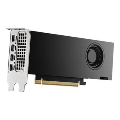 PNY Nvidia RTX 2000 Videokaart ADA Generation 16 GB GDDR6-RAM PCIe x8 Mini-DisplayPort Vulkan