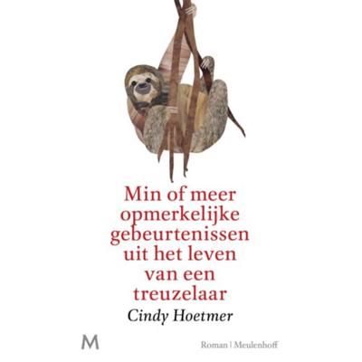 Min of meer opmerkelijke gebeurtenissen uit het leven van een treuzelaar (Hardback)