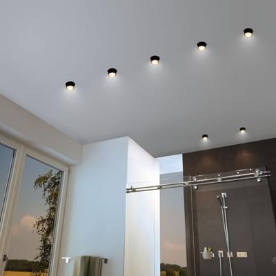Paulmann 93378 LED-inbouwlamp LED LED vast ingebouwd 6 W Zwart (mat), Goud Paulmann 93378 LED-inbouwlamp LED LED vast ingebouwd 6 W Zwart (mat), Goud