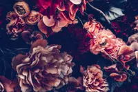 Alexsar Art Tuinschilderij rode bloemen 130x70cm - thumbnail