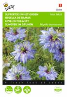 Nigella, Juffertje-in-het-groen Miss Jekyll blauw - thumbnail
