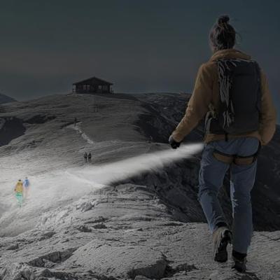 Hama Zaklamp 233.00 g