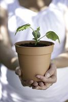 Elho green basics kweekpot 30 cm blad groen - thumbnail