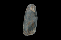 Viking Horn Twist M - thumbnail