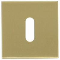 Formani BSQN53 BASICS sleutelplaatje pvd mat goud - thumbnail