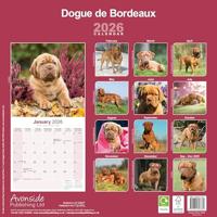 Bordeaux Dog Kalender 2026 - thumbnail