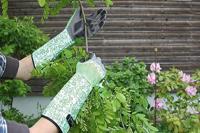 Keron Rozen brandnetelhandschoen mt10xl rosegarden lange manchet - thumbnail