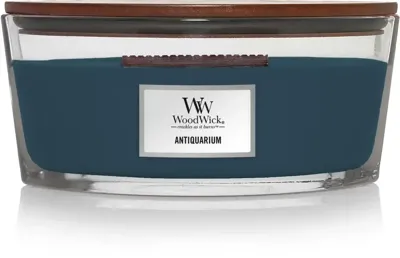 WoodWick ellipse candle antiquarium