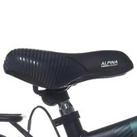 Alpina zadel 16-18 trial - thumbnail