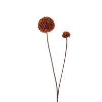 Roberts Collection Kunstbloem pompom 66cm light coffee - thumbnail