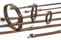 Beeztees - Halsband Hond - Leer - Bruin - 43-52 cm x 20 mm - thumbnail