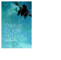 Dwars door het glas - Ton van Reen - ebook - thumbnail