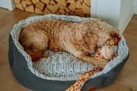 Nobby Cacho ovaal comfortbed, 55 x 50 x 21 cm, donkergrijs - thumbnail