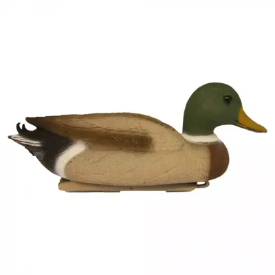 Wilde eend (woerd) Wilde eend (woerd)