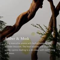 Rituals Homme Life Is A Journey Car Perfume Refill 6 g - thumbnail