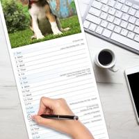 Beagle Kalender 2026 Slimline - thumbnail