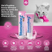 Stomodine F 30ml - thumbnail