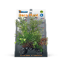 Deco plant l ceratopteris - thumbnail