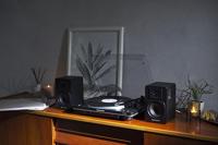 Studiomonitor Audio-Technica Iberia AT-SP3XBK - thumbnail