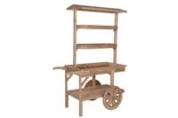 Tuinwagen Home ESPRIT Natuurlijk 108 x 53 x 167 cm - thumbnail