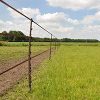 Gallagher TurboLine lint 20mm terra 200m - 060702 060702 - thumbnail