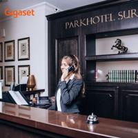 Gigaset PRO S700H DECT handset Antraciet - thumbnail