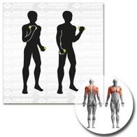 Schildkröt Fitness Dumbbells 0,5 kg - thumbnail