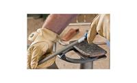 PFERD TOOLS 11235307 Werkplaatsvijl halfrond-spits kap 2 inclusief ergonomisch vijlheft Lengte 300 mm 1 stuk(s) - thumbnail
