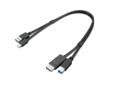 Lenovo Mini DisplayPort naar DisplayPort adapterkabel
