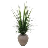 Decoratieve plant Home ESPRIT Polyethyleen - thumbnail