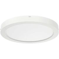 RIDI 322094 322094 LED-plafondlamp LED Wit - thumbnail