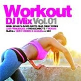 Workout DJ Mix Vol.1 - CD (4032989513376)