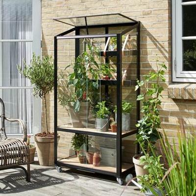 Muurkas City Garden zwart van veiligheidsglas 4mm - Royal well