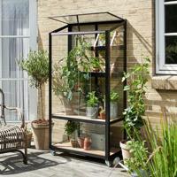 Muurkas City Garden zwart van veiligheidsglas 4mm - Royal well - thumbnail