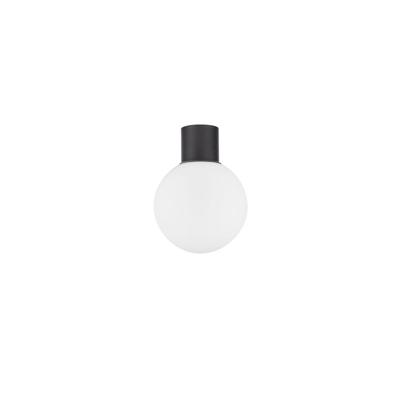 Lyora PlafondlampSpix antraciet met wit bol glas - 9971453