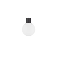 Lyora PlafondlampSpix antraciet met wit bol glas - 9971453 - thumbnail