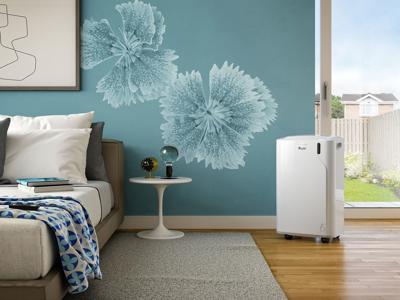 DeLonghi PAC EM77 ECO Mobiele Airco - 9000 BTU