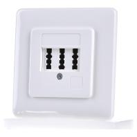 Rutenbeck TAE 3X6 NFN UP rw Telefoonaansluitdoos Inbouw (in muur) Wit Rutenbeck TAE 3X6 NFN UP rw Telefoonaansluitdoos Inbouw (in muur) Wit