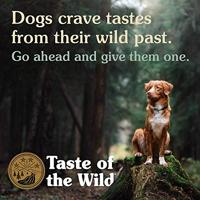 TASTE OF THE WILD Southwest Canyon Canine Formula - droog hondenvoer - 5,6 kg - thumbnail